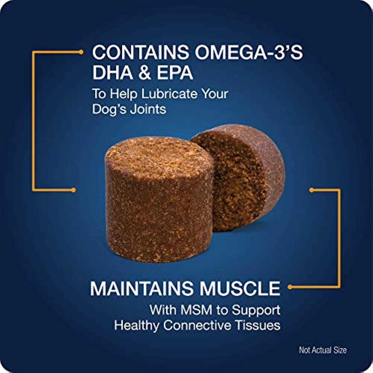 Hip & Joint Chews for Dogs J5554