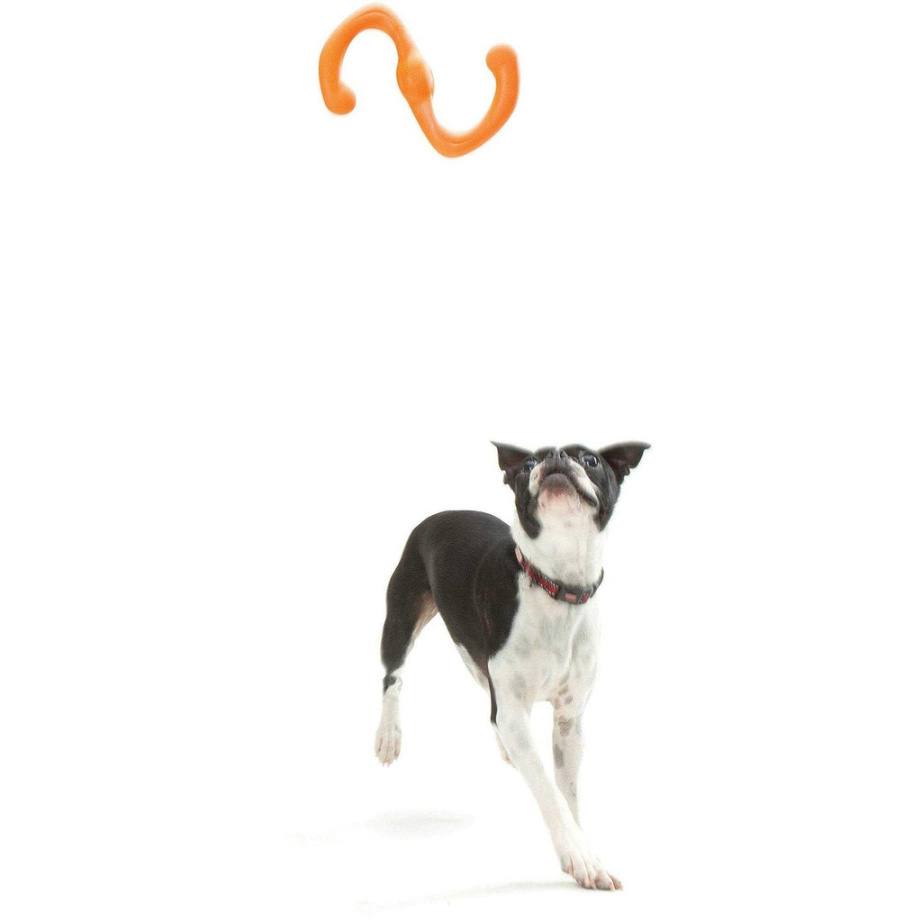 Dog Toy S189739