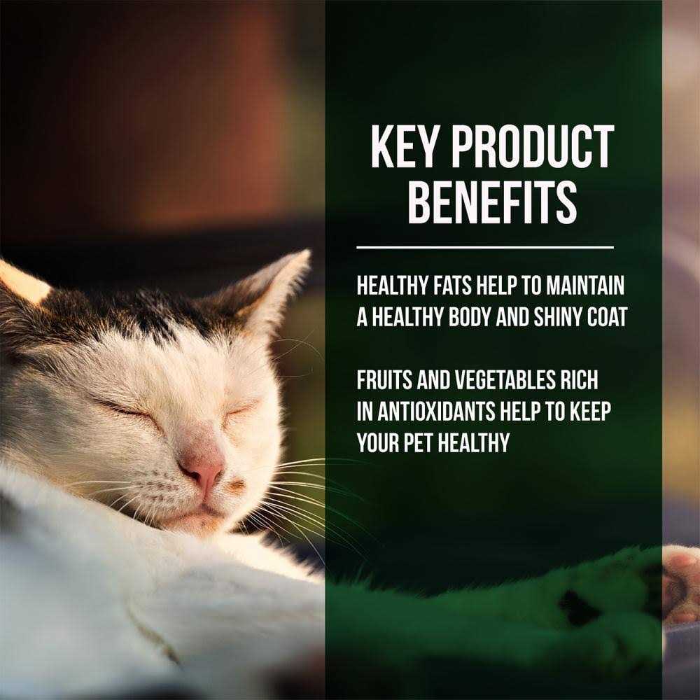 Salmon Chicken Dry Cat Food H8751