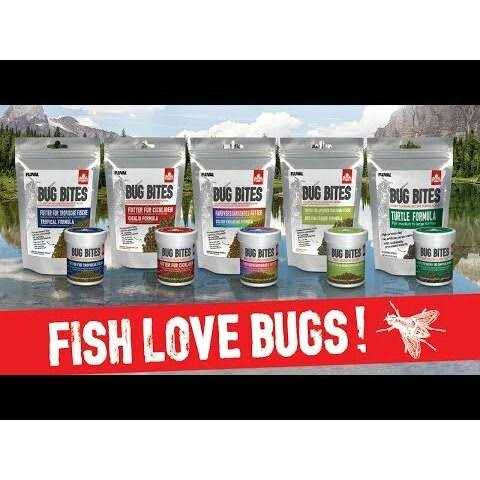 Cichlid Pet Supplies T916665